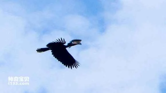 2023050713260790.jpg 9c4cde3433fa828bfb4f1fcaf31f4134970a5a1a_九雷图片转换器.jpg