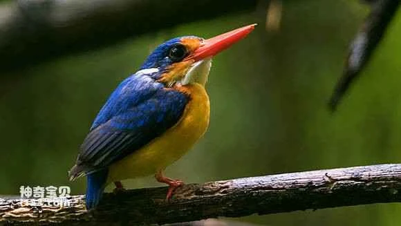 2023050116219016.jpg 056dfacbd1c8a786d6057f626a09c93d70cf5025_九雷图片转换器.jpg