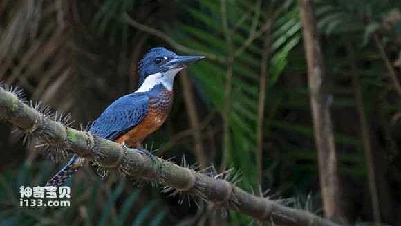 2023043054817512.jpg 92892c176d224f4ad2adea6f04f790529822d10e_九雷图片转换器.jpg