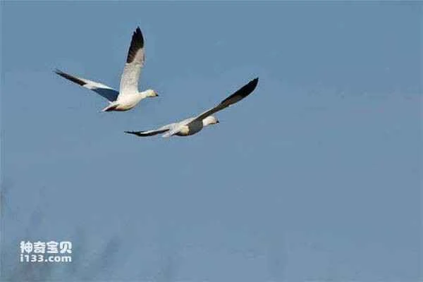 2023030261791826.jpg 950b3f50a6d744aee2a658bf862ca54d_九雷图片转换器.jpg