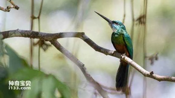 2023050822102521.jpg e8e7be42ad4bd1135c40a4f350afa40f49fb05d0_九雷图片转换器.jpg