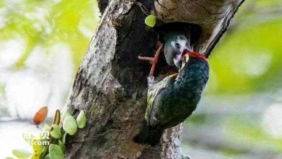 2023051783130062.jpg 3e65e583b9014a904109c788a2773912b31bee40_九雷图片转换器.jpg