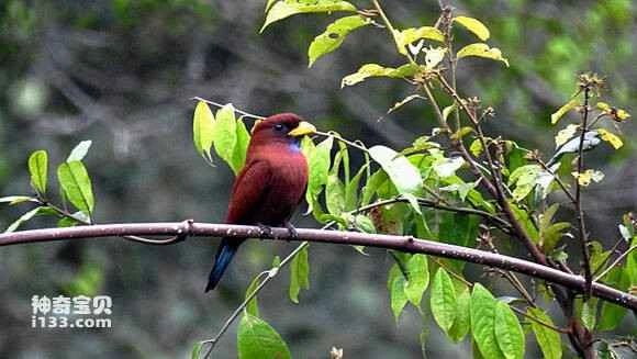 2023042128182247.jpg fac625ec2e738bd4c1b880e7ab8b87d6267ff93a_九雷图片转换器.jpg