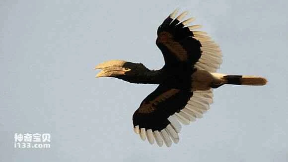 2023050320102973.jpg 7c125ba95edf8db1acded5af0423dd54544e74f8_九雷图片转换器.jpg