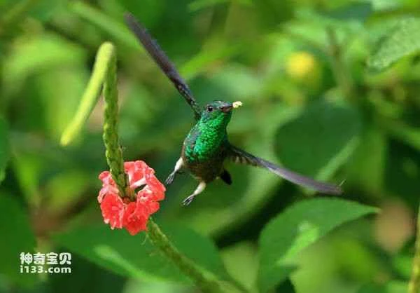 2023032212760975.jpg 4f8f9169387b8e0852335b0304285ebd_九雷图片转换器.jpg