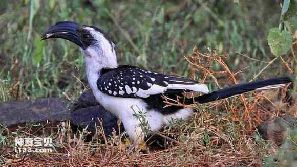 2023050418947276.jpg dc71fd44d688d43f5d2bfdcb731ed21b0ff43bf8_九雷图片转换器.jpg