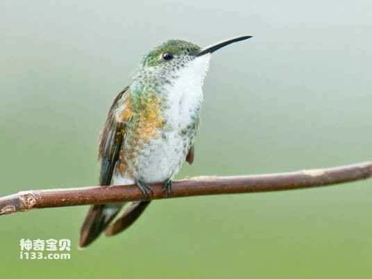 2023032175046446.jpg 2fdda3cc7cd98d101ed76e2f253fb80e7bec90a8_九雷图片转换器.jpg