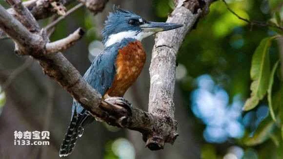 2023043015952138.jpg ef8e71168a82b901f6a05a4f7e8da9773912ef35_九雷图片转换器.jpg