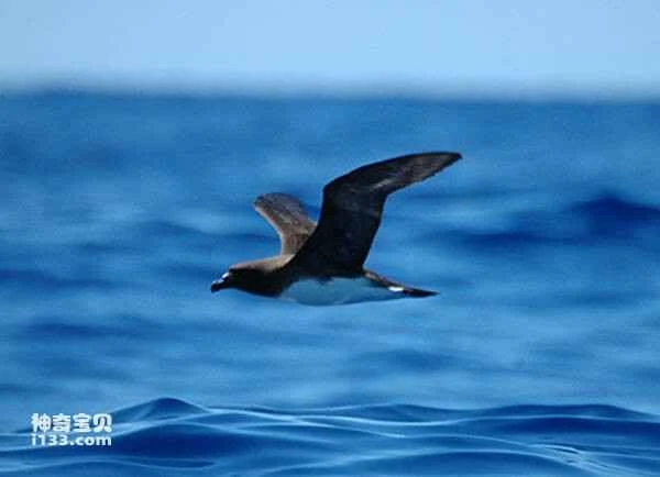 2023031099537736.jpg d1a00af443ee4adfdf7c970870ed3e3f_九雷图片转换器.jpg