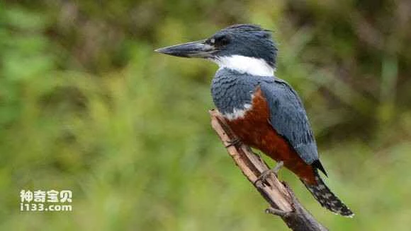 2023043013381220.jpg 7addcb0e4bfbfbed0727af0375f0f736aec31fc7_九雷图片转换器.jpg