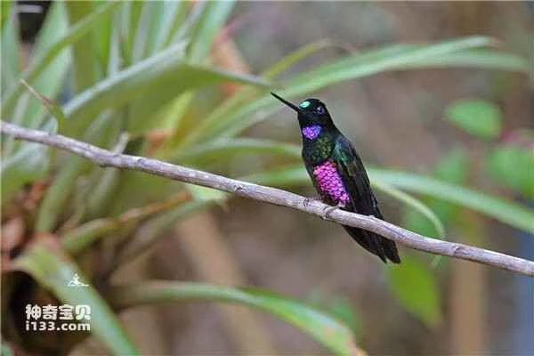 2023032846928367.jpg e85393b87da01cc172dbec9befdc20c8_九雷图片转换器.jpg