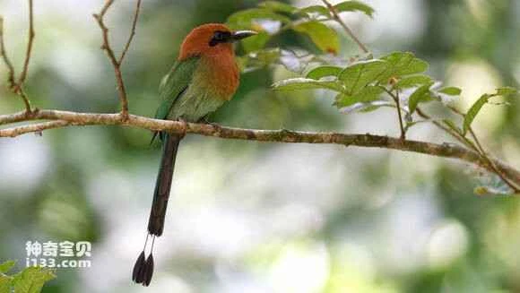 2023042428191071.jpg aa610c2662d0f70323a6423b03fa513d2797c5b1_九雷图片转换器.jpg