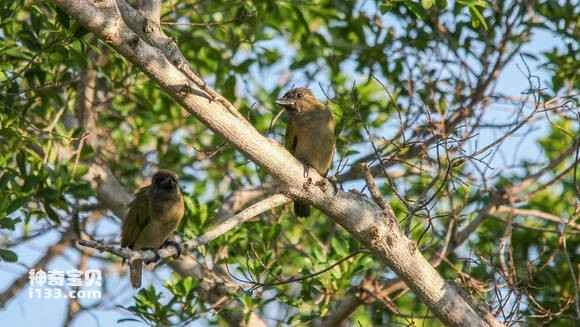 2023051412813462.jpg 92c5bfa30cf431add343b4fc4136acaf2cdd98d1_九雷图片转换器.jpg