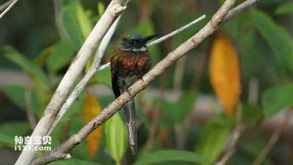 2023050891629715.jpg 52f92811b912c8fcc83ae50cf6039245d488219c_九雷图片转换器.jpg