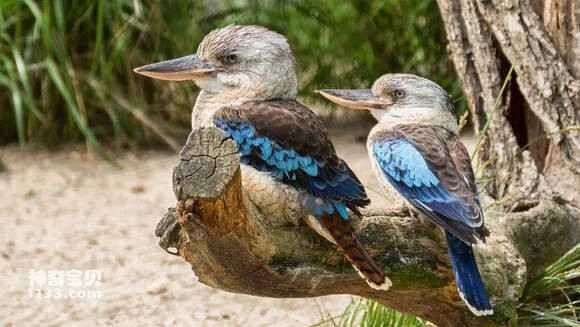 2023042612977753.jpg 084a7031e924b899a78239ea65061d950b7bf61d_九雷图片转换器.jpg