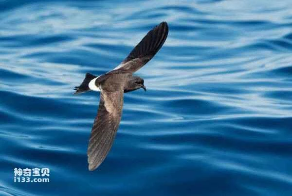 2023031548124853.jpg e49af885c56a3884523ee8d312b3ecd4_九雷图片转换器.jpg