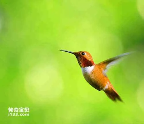 2023040823712161.jpg 2e64459d29151539f5ad1b6eb20cbf10_九雷图片转换器.jpg