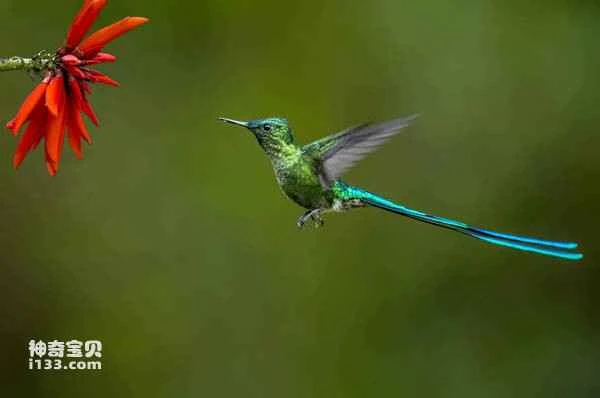 2023032010670227.jpg dc6edf7148f4ba1f4d3c94d091a5d8c1_九雷图片转换器.jpg