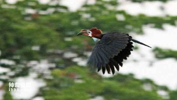 2023050719674672.jpg f0646625ab18972b597e82e3e8cd7b899f510ac2_九雷图片转换器.jpg