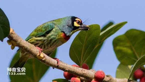 2023051710061318.jpg a07876d9bc3eb13552b2368ead1ea8d3fd1f4405_九雷图片转换器.jpg