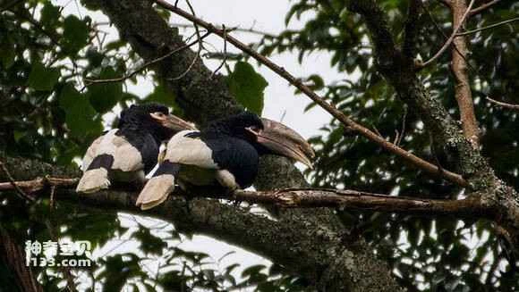 2023050370043885.jpg 14da31de8db1cb13219b95d8d054564e90584bfa_九雷图片转换器.jpg