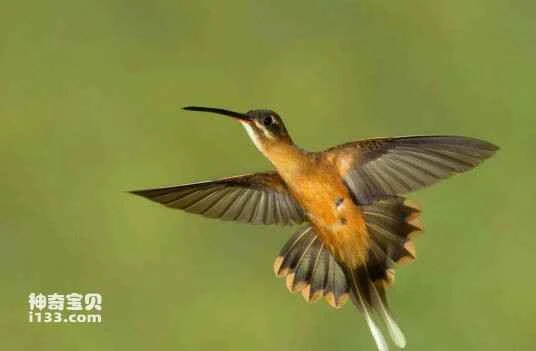 2023031920289222.jpg 1b4c510fd9f9d72a9eb7684ed02a2834359bbb96_九雷图片转换器.jpg