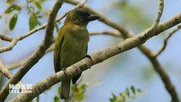 2023051491671373.jpg dd6d2e35970a304e798a573fdbc8a786c8175c3a_九雷图片转换器.jpg