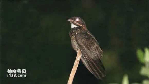 2023041815561407.jpg a2f9c91fa8d3fd1fd4c710ea394e251f97ca5f83_九雷图片转换器.jpg