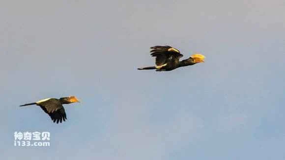 2023050313167802.jpg b1fdcfed08fa513dd7cbfc15306d55fbb3fbd908_九雷图片转换器.jpg