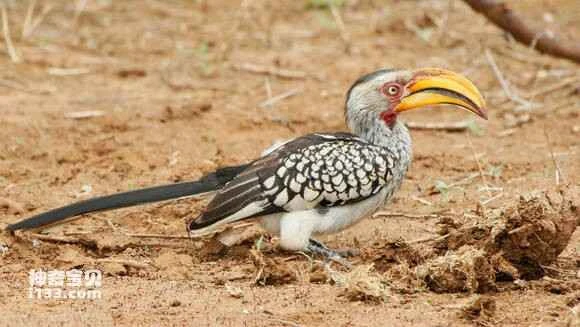 2023050317878238.jpg 1960dc1ab051f819907d6f73d4b44aed2e73e726_九雷图片转换器.jpg