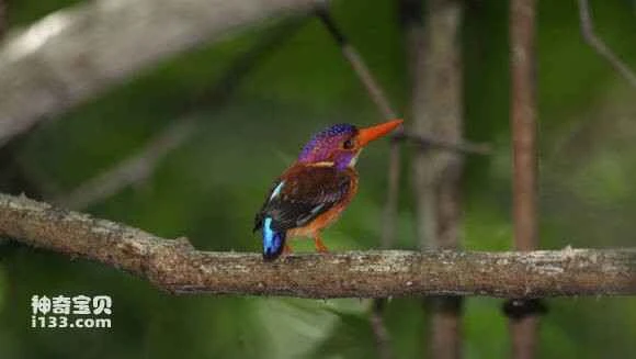 2023050130795630.jpg a5478adce71190ef0b50d5b4c31b9d16fcfa60a1_九雷图片转换器.jpg