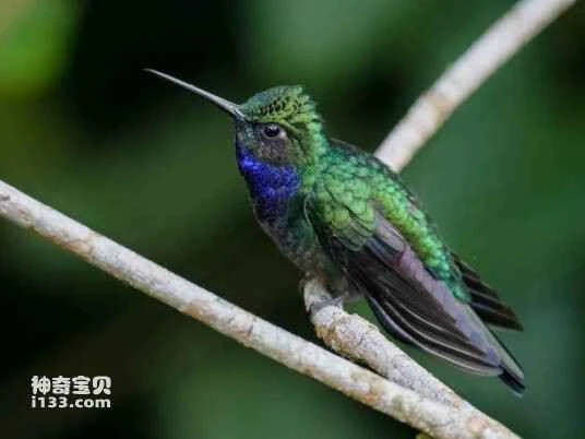 2023032524384940.jpg d62a6059252dd42a283439f42f6e4cb5c9ea15ce126d_九雷图片转换器.jpg