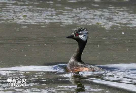 2023030828408170.jpg 0eb30f2442a7d9331a52c665ad4bd11373f00129_九雷图片转换器.jpg