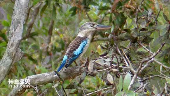 2023042614022844.jpg 2a096d097bf40ad174b787315c2c11dfa8ecce00_九雷图片转换器.jpg