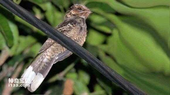 2023041896769405.jpg b8501d0f0cf3d7ca58398da6fb1fbe096963a982_九雷图片转换器.jpg