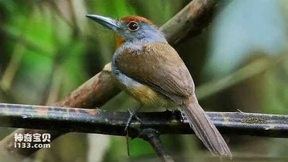 2023051189933126.jpg 775e7edea9ec8a137db41623fd03918fa1ecc03e_九雷图片转换器.jpg