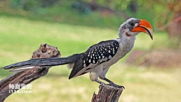 2023050418920799.jpg 2a27dc18ebc4b7454b4adb2fc1fc1e178b82159b_九雷图片转换器.jpg