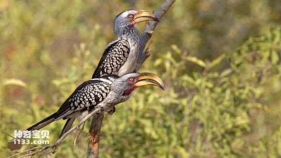 2023050321237680.jpg 7bc7a6eb15ce36d3b14bef0934f33a87e950b12b_九雷图片转换器.jpg