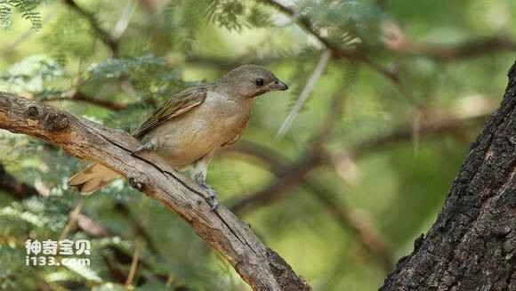 2023051854698092.jpg 219b5600213fb80e4725fde03dd12f2eb8389480_九雷图片转换器.jpg