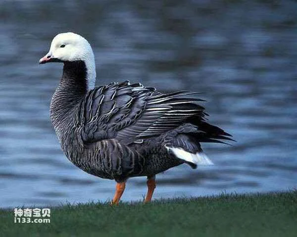 2023030215146198.jpg f6815bc15d722f576f281b9d9b178dc8_九雷图片转换器.jpg