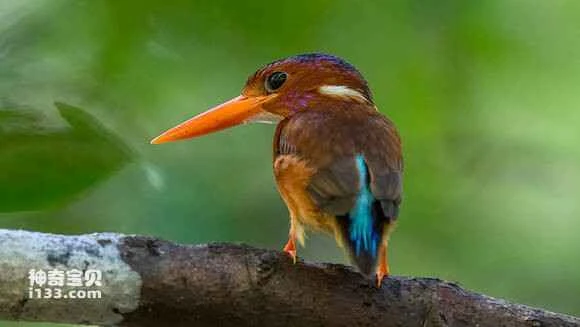 2023050118955503.jpg aaf0d6004a90f6038bd3db2c3412b31bb151edea_九雷图片转换器.jpg