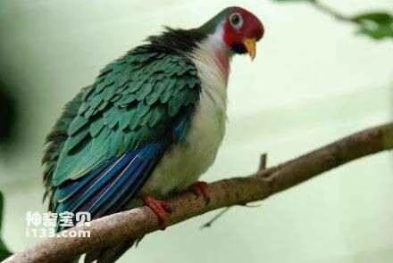 2023022526071870.jpg dbb44aed2e738bd4c2b4273ca18b87d6277ff922_九雷图片转换器.jpg