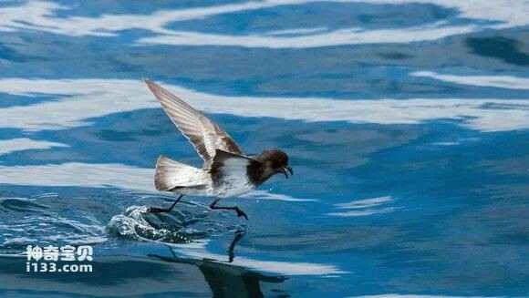 2023031513409957.jpg 92892c176d224f4afe6f85cd03f790529a22d1ea_九雷图片转换器.jpg