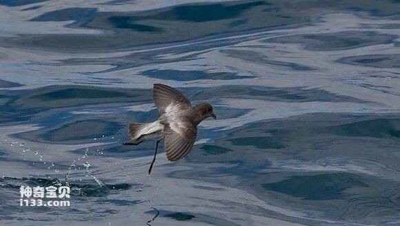 2023031560382643.jpg 3f428625b899a9018ea9ade817950a7b0008f5c0_九雷图片转换器.jpg