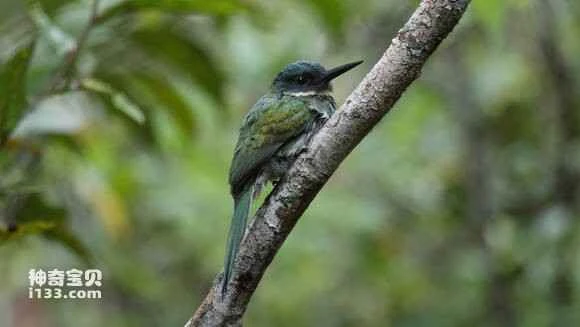 2023050812540199.jpg 19a9d9fc5266d016172d8ce99d2bd40734fa35a9_九雷图片转换器.jpg