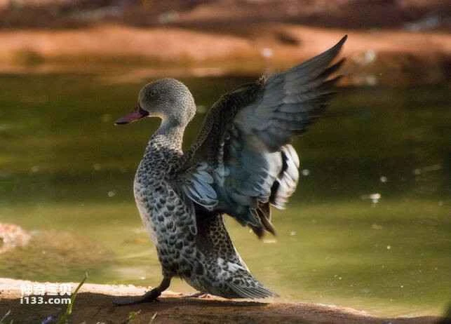 2023022810272117.jpg da813a27a1ac78c51a281154c1472cf0_九雷图片转换器.jpg