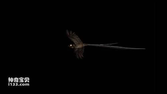 2023041520088780.jpg 89055613b31bb051f681e3cf3f7adab44bede027_九雷图片转换器.jpg