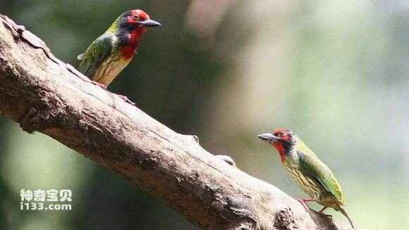 2023051712703203.jpg 42a29802918fa0eceb0ee2382d9759ee3c6ddbaa_九雷图片转换器.jpg