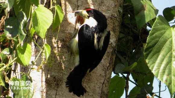 2023051219145249.jpg 227a14f50ad162d92df7f9d91bdfa9ec8b13cd4a_九雷图片转换器.jpg