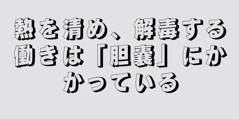 熱を清め、解毒する働きは「胆嚢」にかかっている